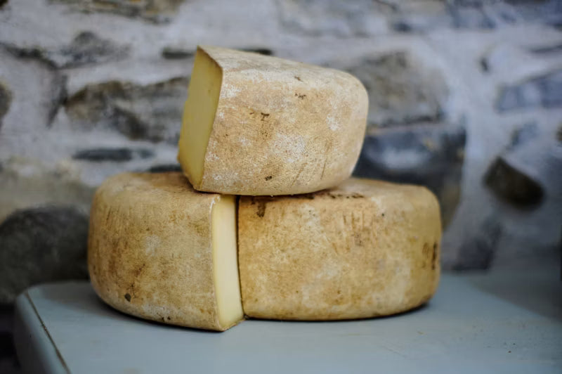 Artisan Farmhouse Cottage Cheese / Paneer